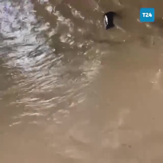   تصاویر از دقایق اولیه شروع سیل در اسپانیا