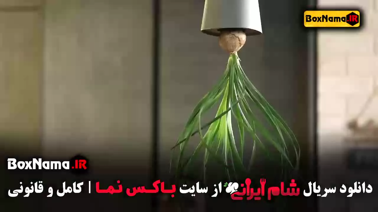 فیلم شام ایرانی قسمت ۲ و ۳