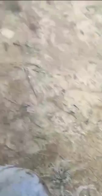 لحظه نجات مسافران از سقوط هواپیما