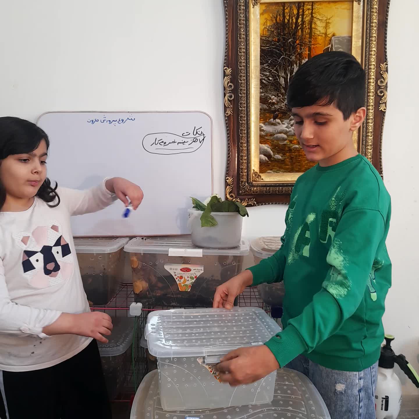 اهورا و اتریسا به پرورش حلزون و تولید محصولات حلزون پرداختن