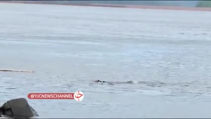   ریزش پل در برزیل