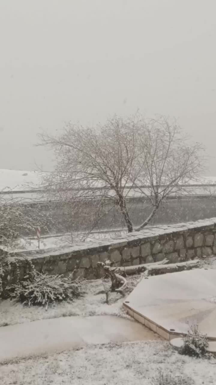   بارش برف در منطقه یک تهران