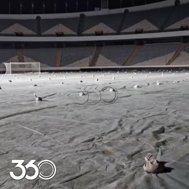    نحوه نگهداری از چمن ورزشگاه آزادی، پس از دیدار منتخب سرخابی‌ها و منتخب ستارگان ۹۸