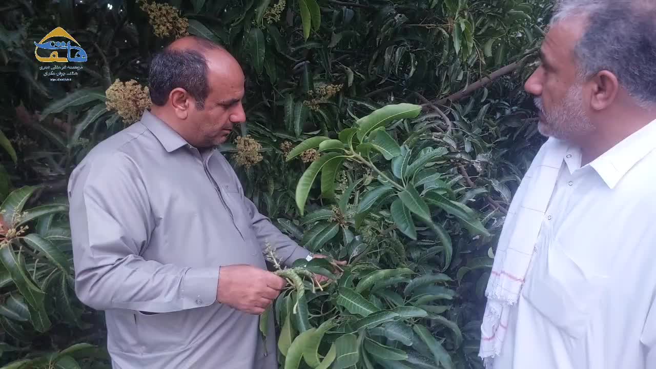 چه کسی پاسخگوی مشکلات کشاورز روستای رونگ نیکشهر است؟