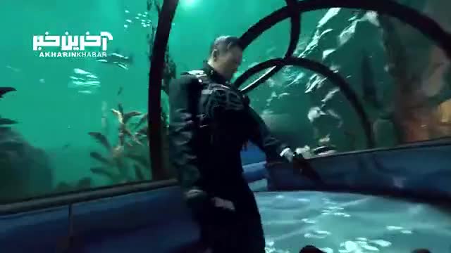 زمان به روز رسانی فصل سوم کال آف دیوتی