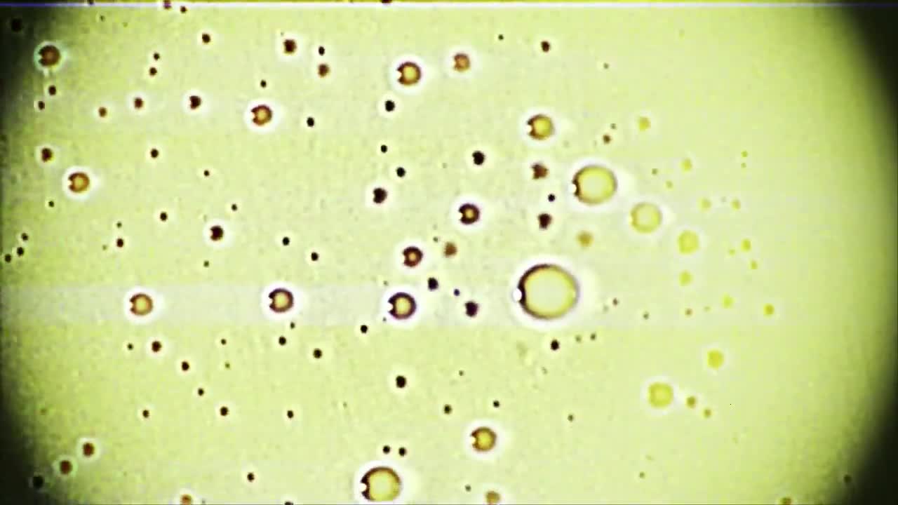 پیوند نانو الکترونیکی (افشین رشید)