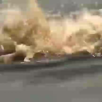 کروکودیل و شکار برق آسای مار