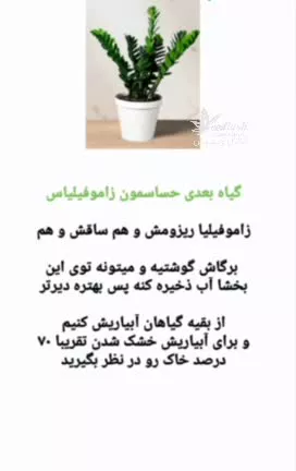 میزان آب‌دهی به گیاهان حساس