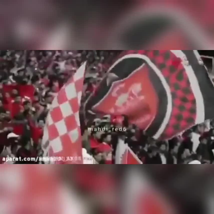 تقدیم به عشق پرسپولیس