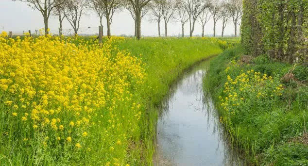 انگیزه در کارها /استاد مهندسی