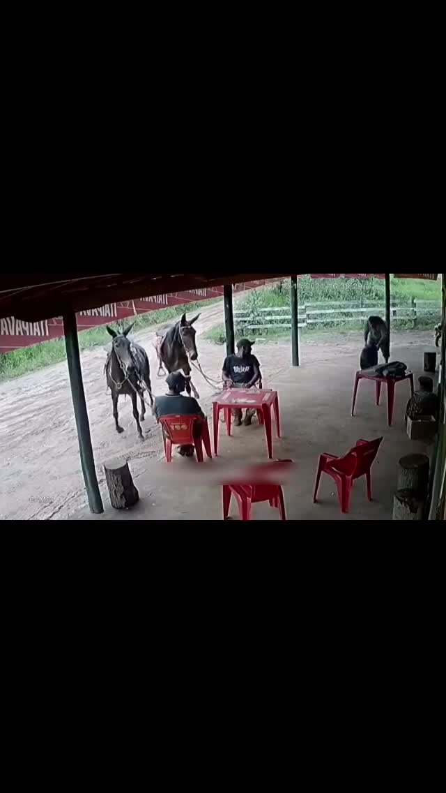 کلیپ خنده دار