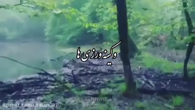 با خودم عهد و پیمان بستم به