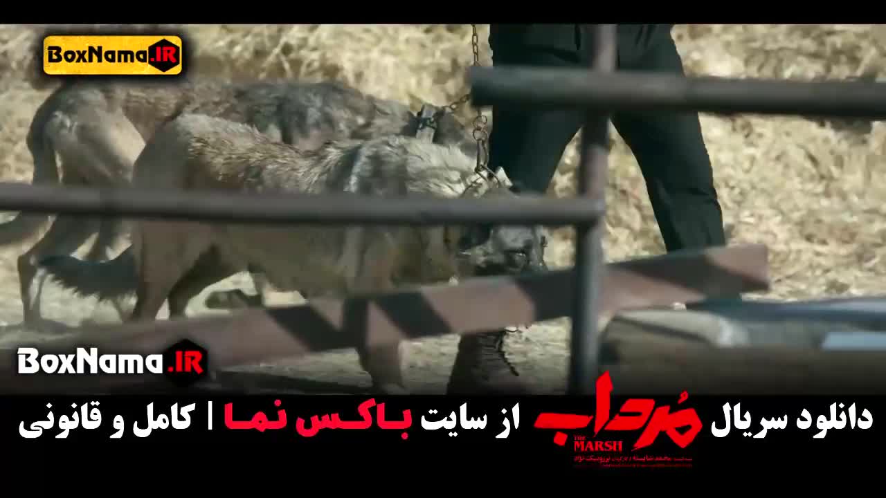 سریال مرداب قسمت ۱ اول / مرداب قسمت ۹ نهم