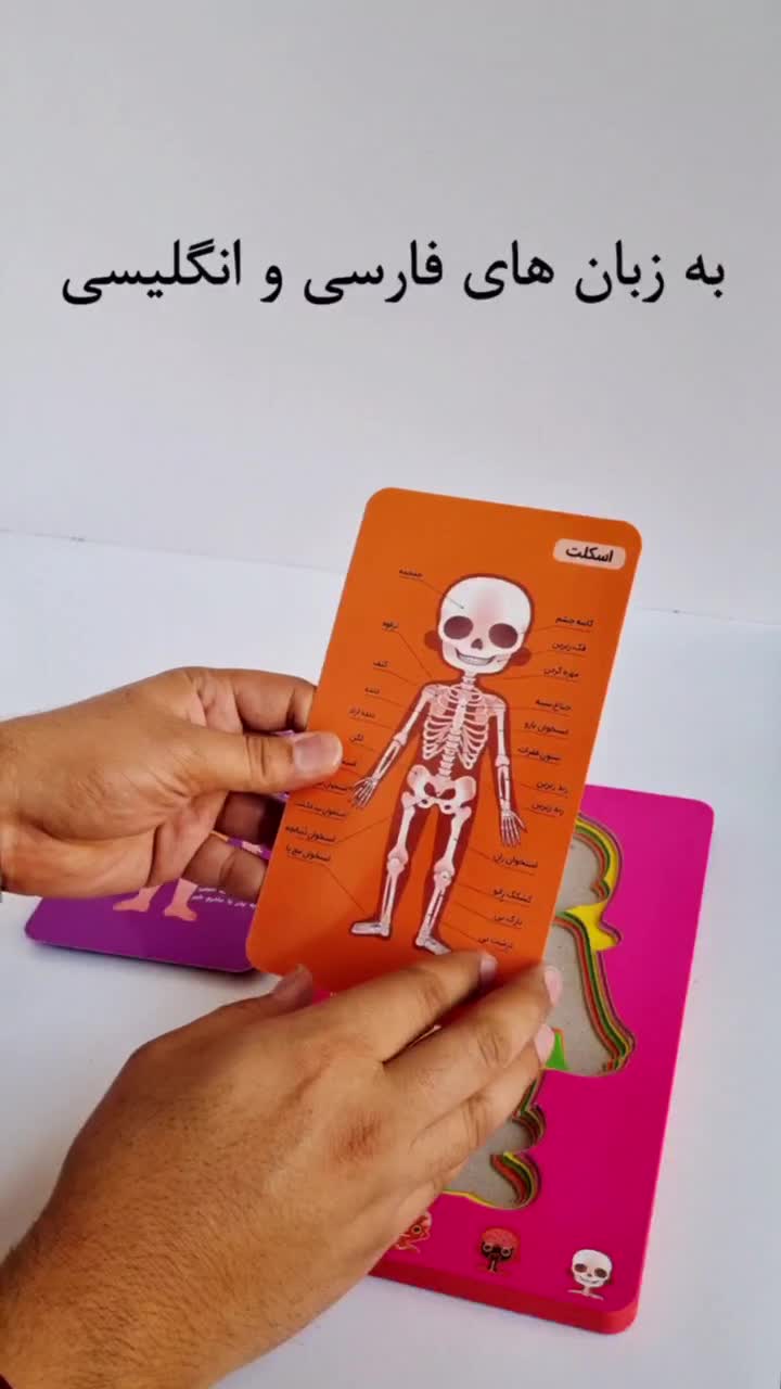 video_2024-05-11_پازل آموزشی مدل اعضای بدن20-03-52