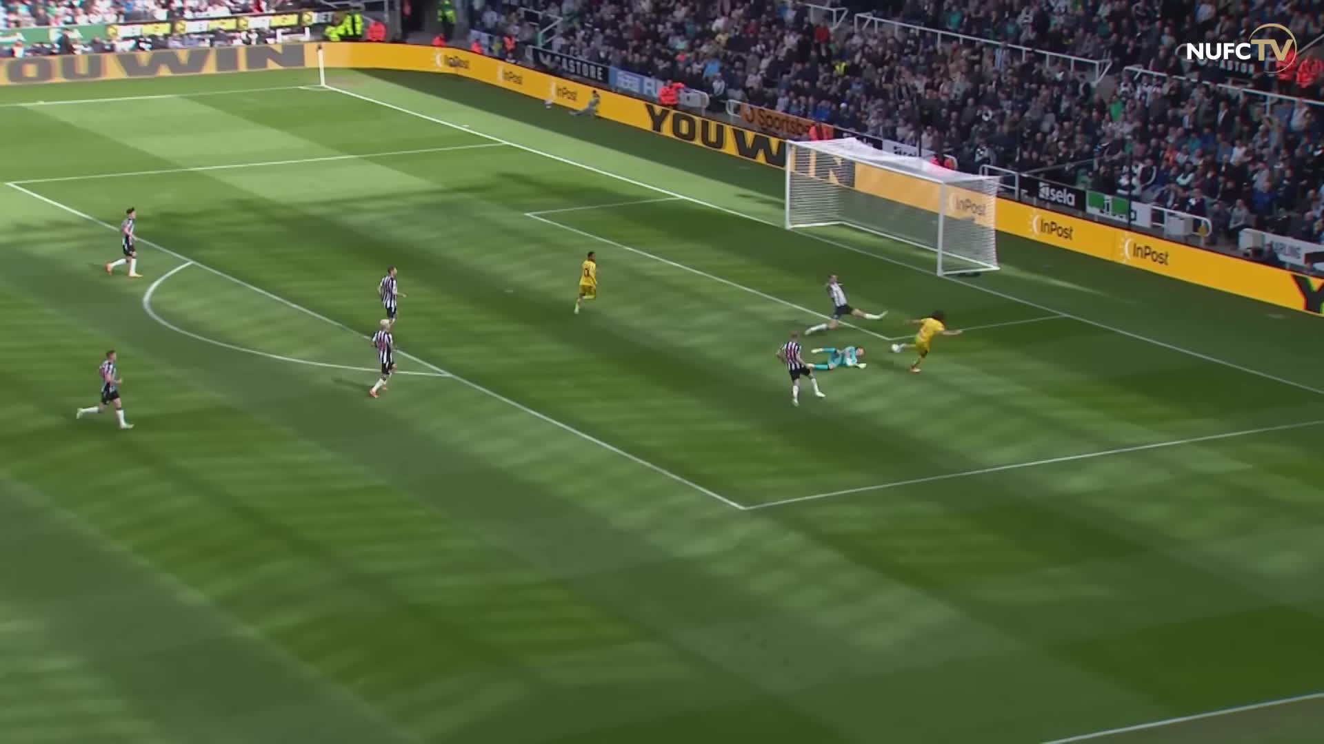 خلاصه بازی لیگ برتر انگلیس : نیوکاسل یونایتد 5 - 1 شفیلد یونایتد