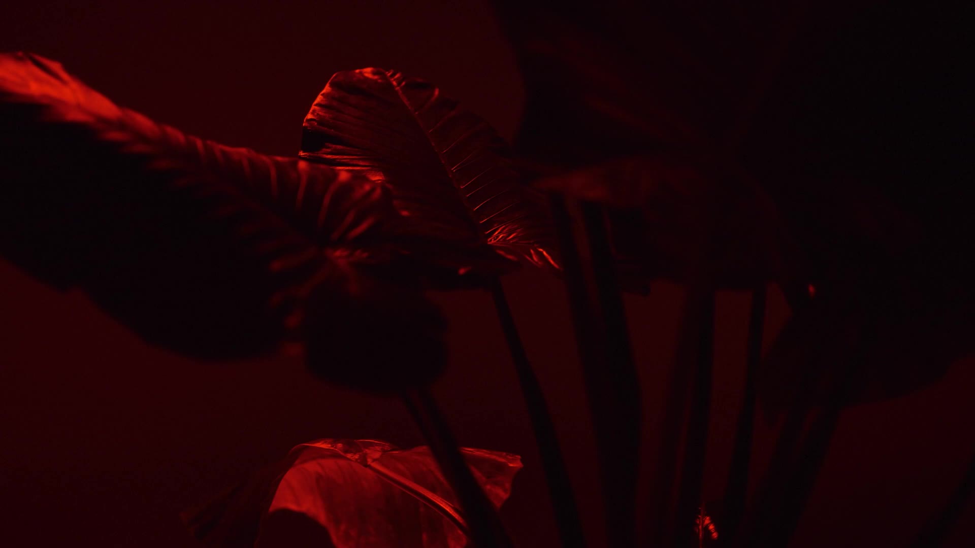 موزیک ویدیو دکاموند _ نیستی Dekamond  - Nisti