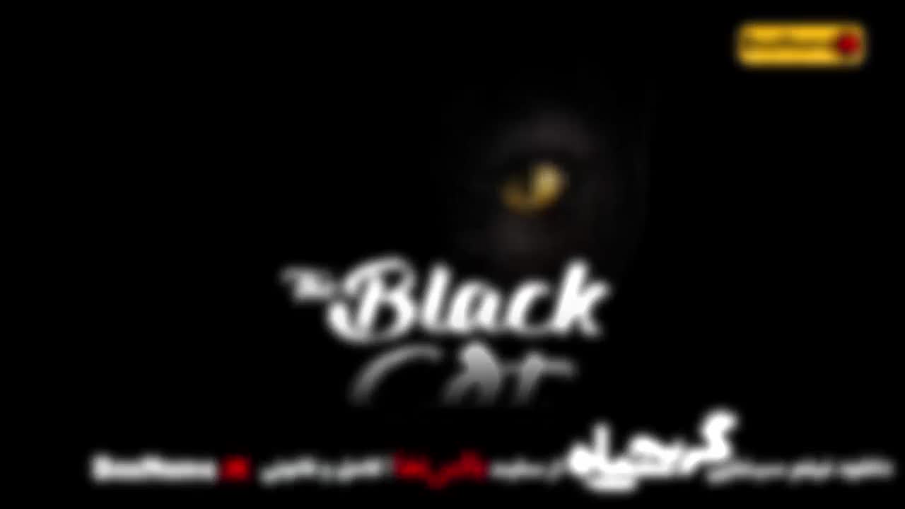 فیلم گربه سیاه ترلان پروانه / بهترین فیلم های جدید ایرانی