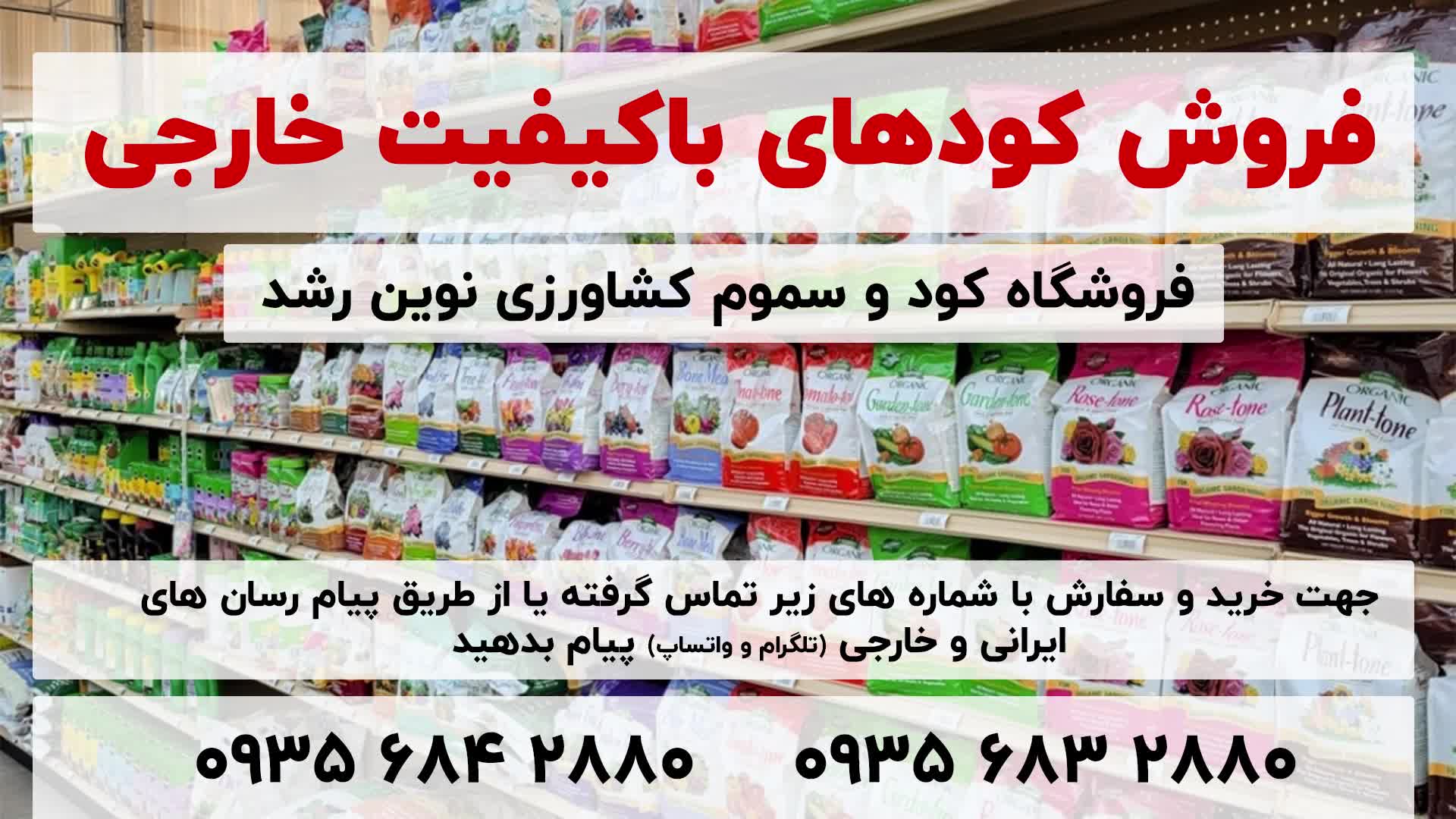 راهنمای خرید کود گیاهان آپارتمانی