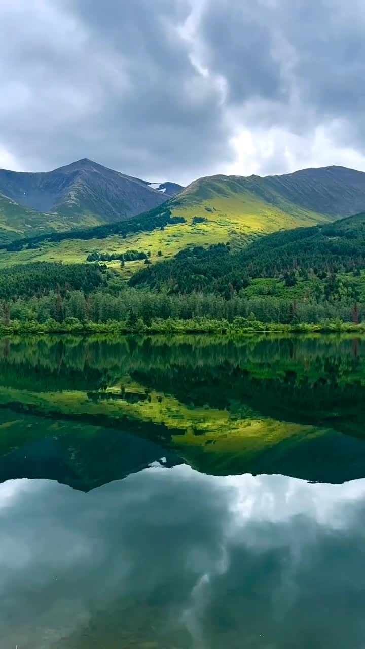 دریاچه و جنگل