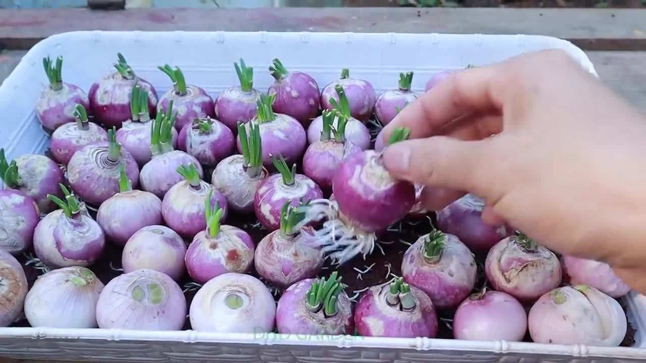 مدرسه ی زندگی