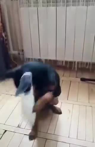 این سگه یا دکتر پهاو