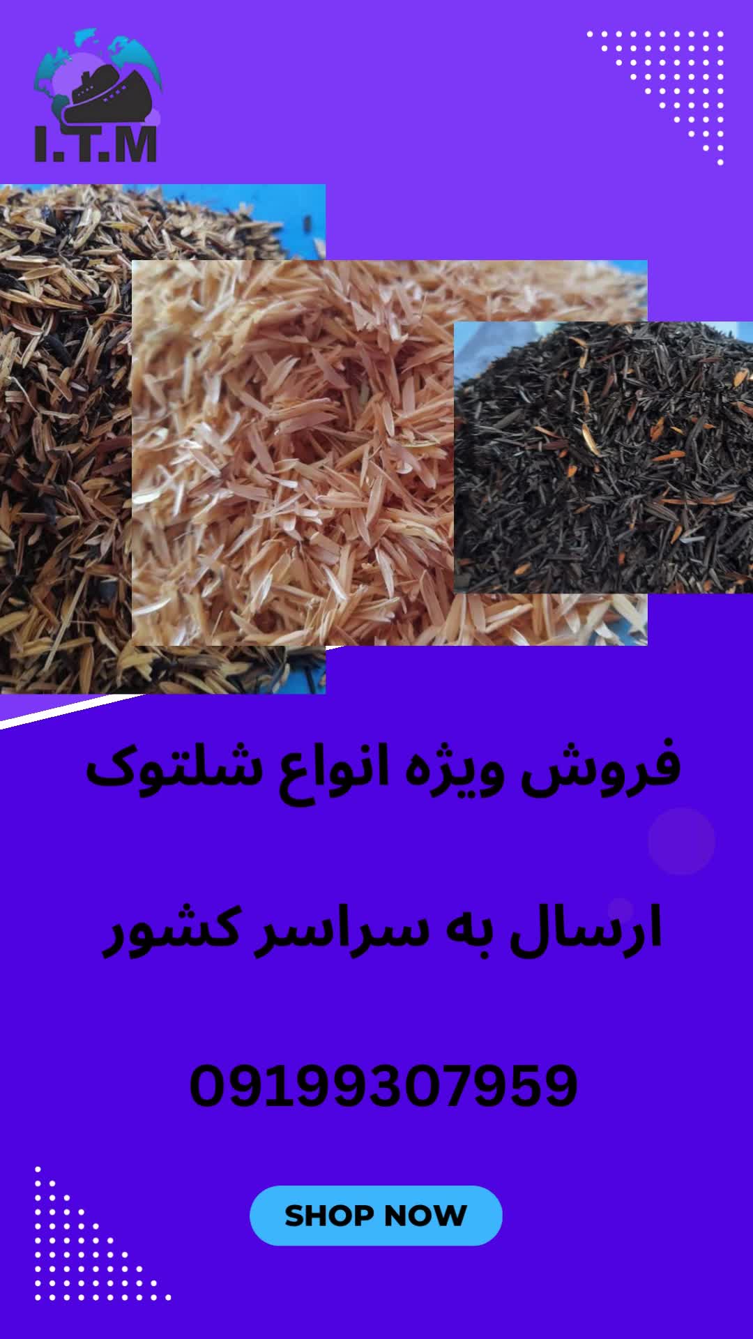 قیمت شلتوک