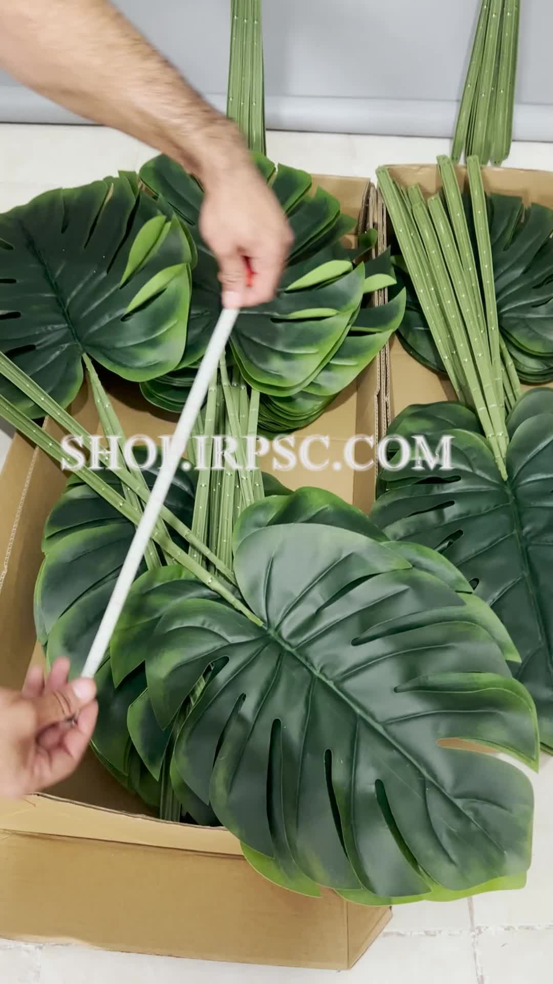 انواع برگ مصنوعی مدل برگ انجیری | فروشگاه ملی