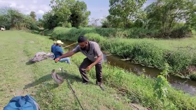 فیلم ماهیگیری با قلاب در طبیعت زیبا
