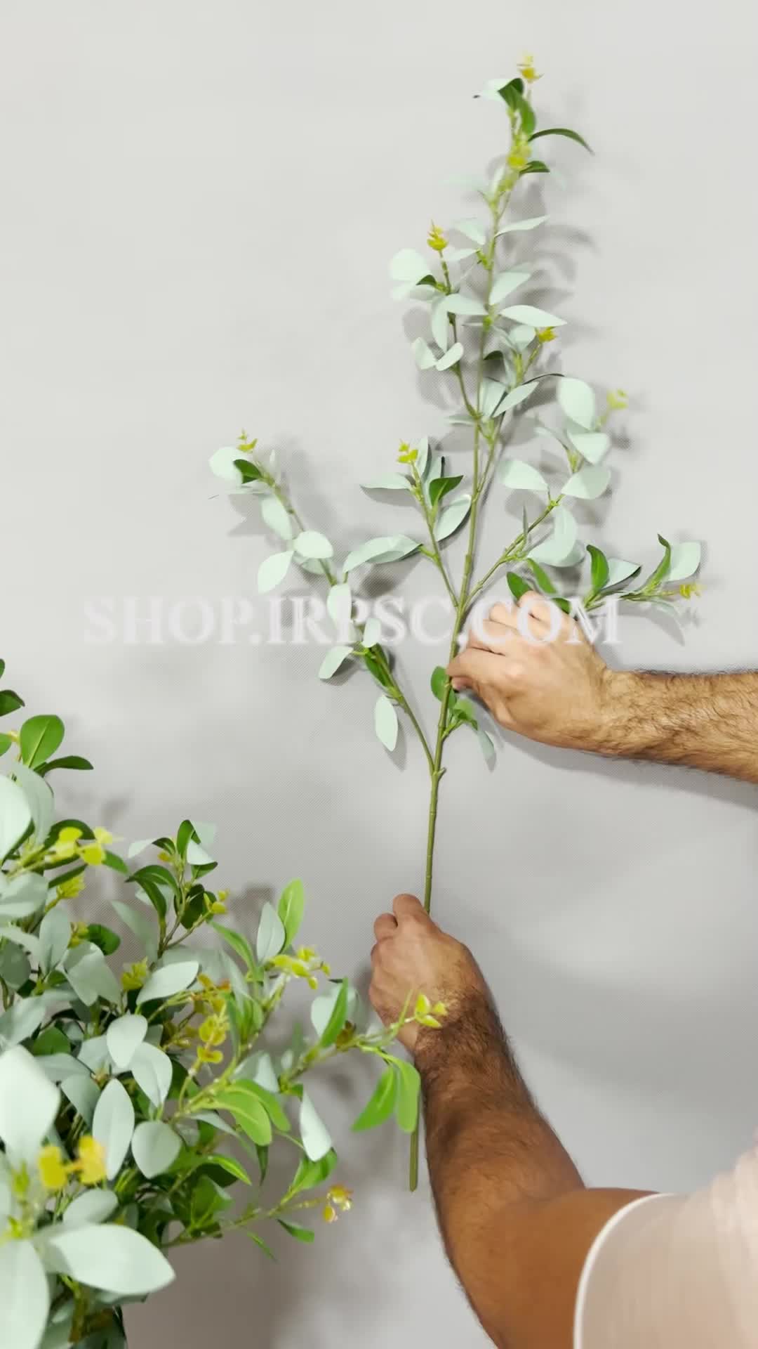 انواع شاخه برگ مصنوعی زیتون | فروشگاه ملی