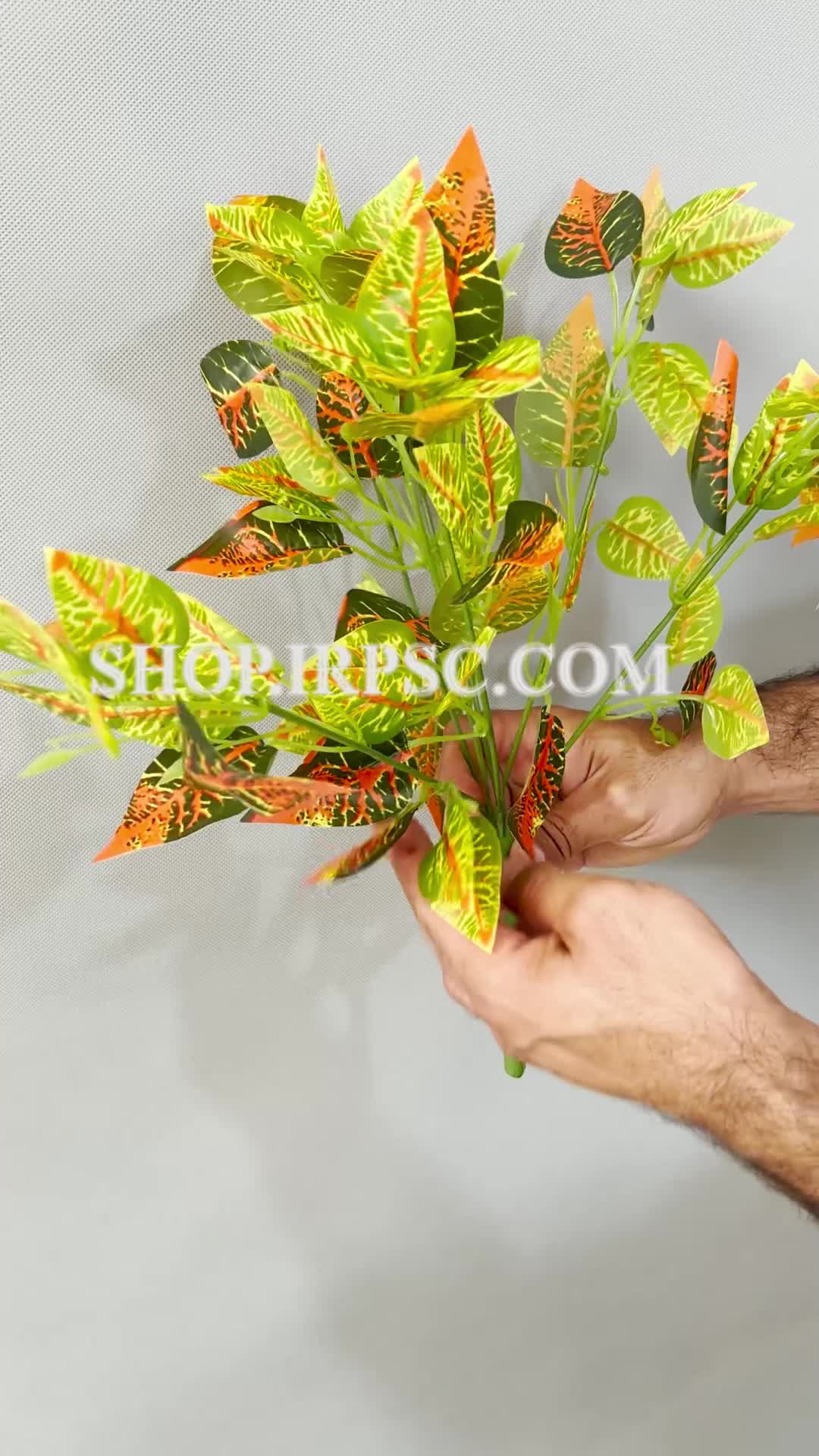 انواع بوته مصنوعی کروتن برگ ریز | فروشگاه ملی