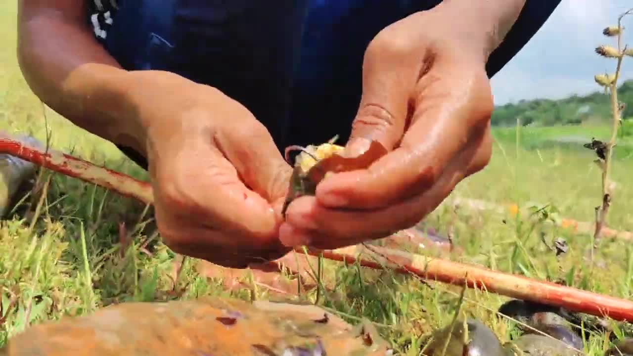 اموزش ویدئویی ماهیگیری کپور با قلاب توسط نوجوان