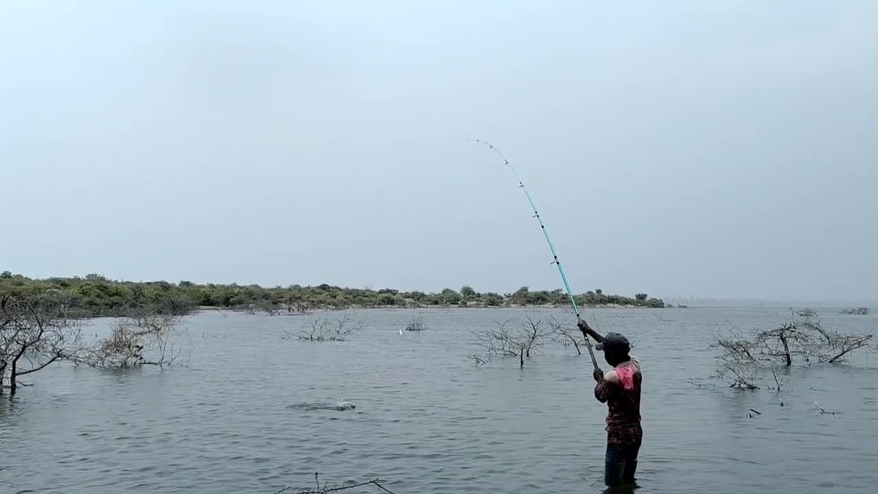 ماهیگیری هیجانی کپورهای بزرگ با لنسر