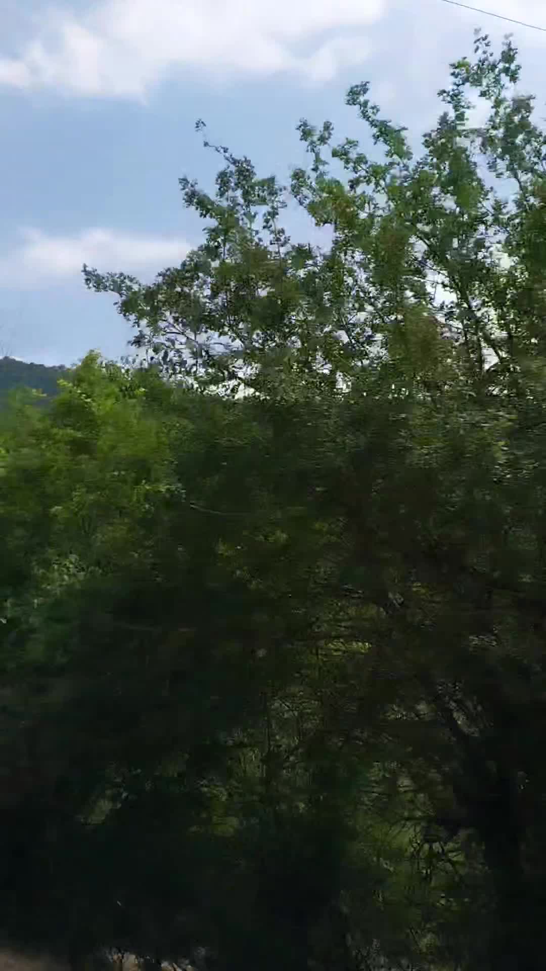 ترانه ی نگران منی از مرتضی پاشایی