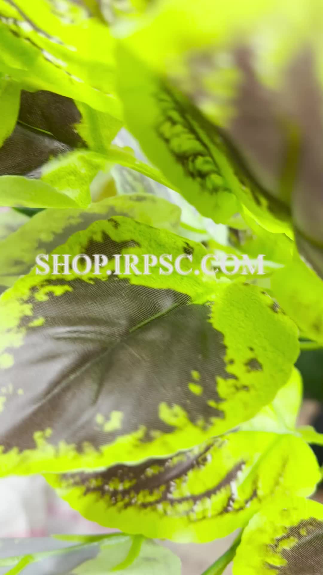 انواع بوته مصنوعی حسن یوسف | فروشگاه ملی