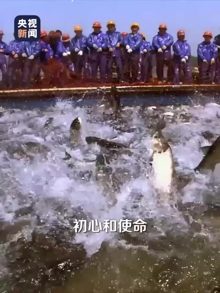 ماموریت : سرنوشت چین معاصر