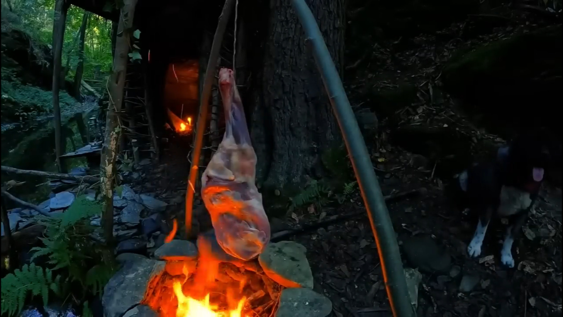 کمپینگ در طبیعت و ساخت سرپناه جنگلی و پخت کباب ران گوسفندی