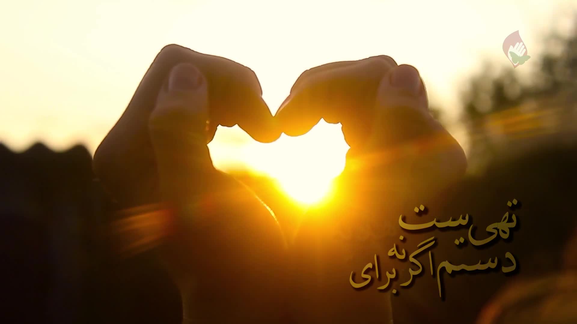 موزیک آرامش بخش همایون شجریان هوای زمزمه هایت