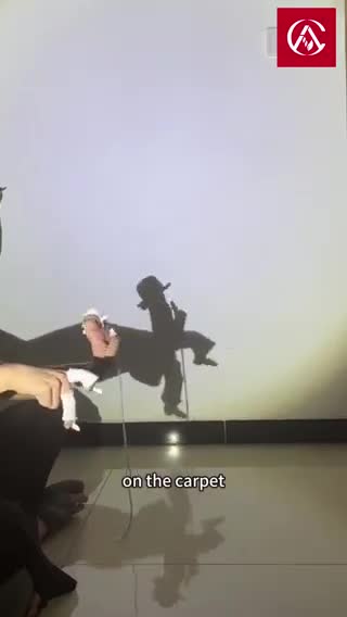 تقلید حرکت نمایشی یک جوان: مایکل جکسون با سایه!