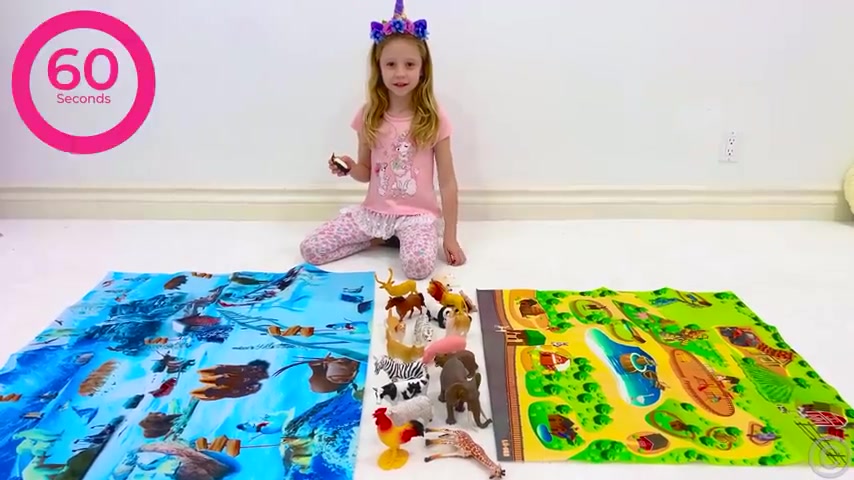 ناستیا و بابایی: آموزش حیوانات اهلی