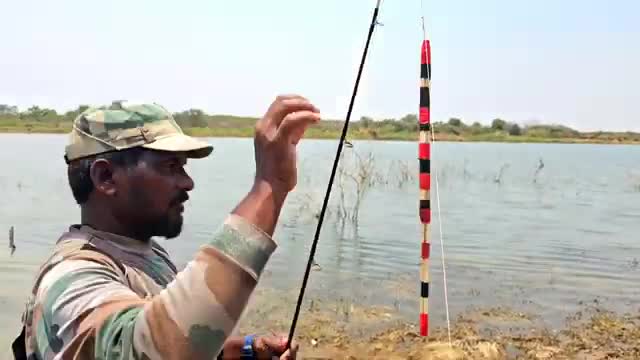 فیلم مستند روش ماهیگیری کپورهای بزرگ با قلاب