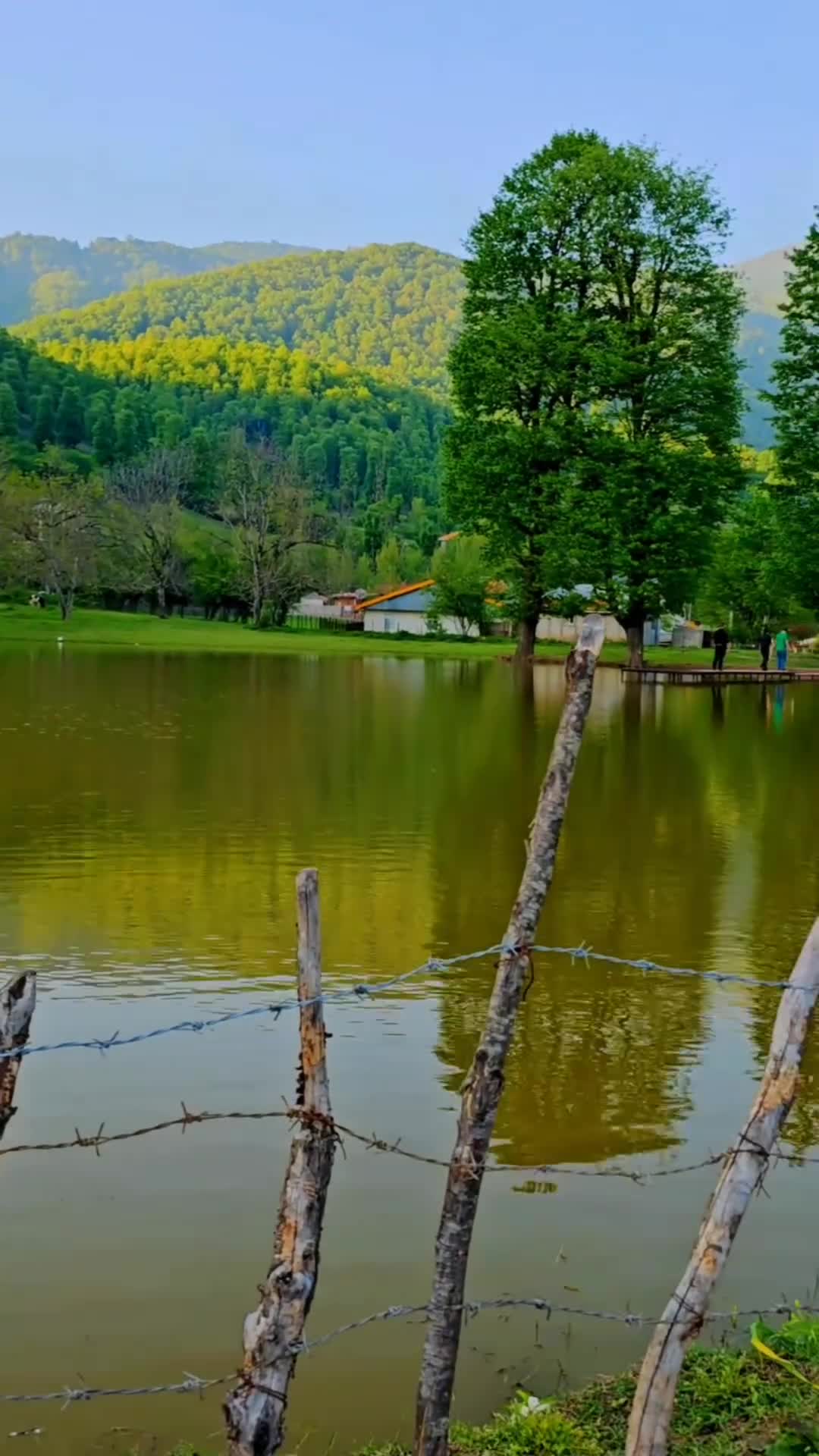 ترانه ی بانوی شرقی از فرشید امین