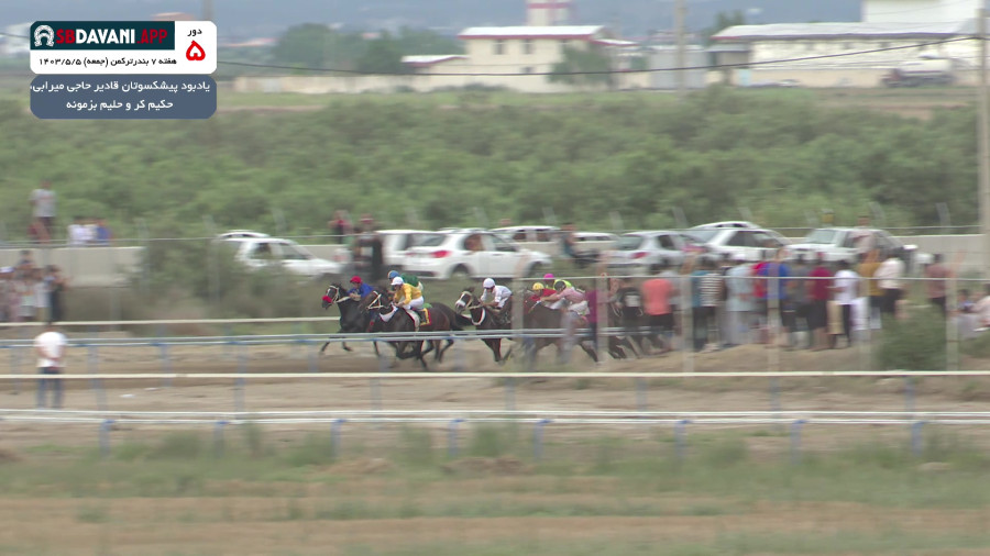 قهرمانی نیکولای در مسابقات اسبدوانی: تابستان بندرترکمن 1403