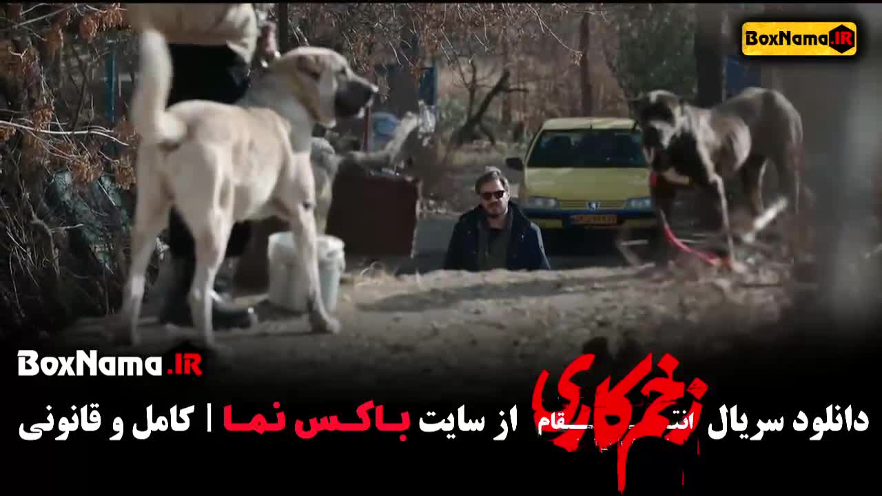 دانلود قسمت اول تا ۸ زخم کاری فیلم جدید جواد عزتی