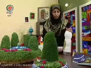 آموزش سبز کردن بذر لعاب دار شاهی روی بطری پلاستیکی