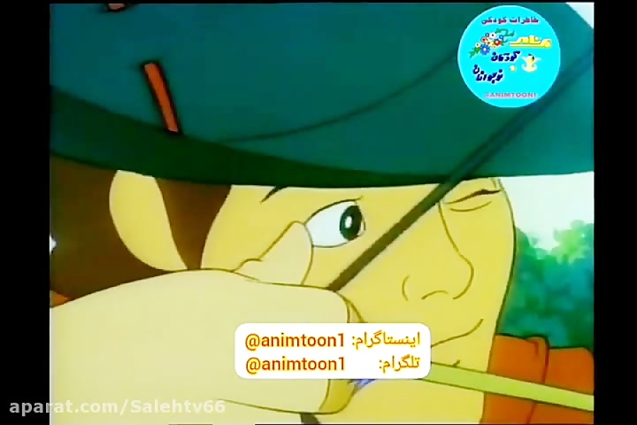 کارتون رابین هود جوان .. دهه ۸۰
