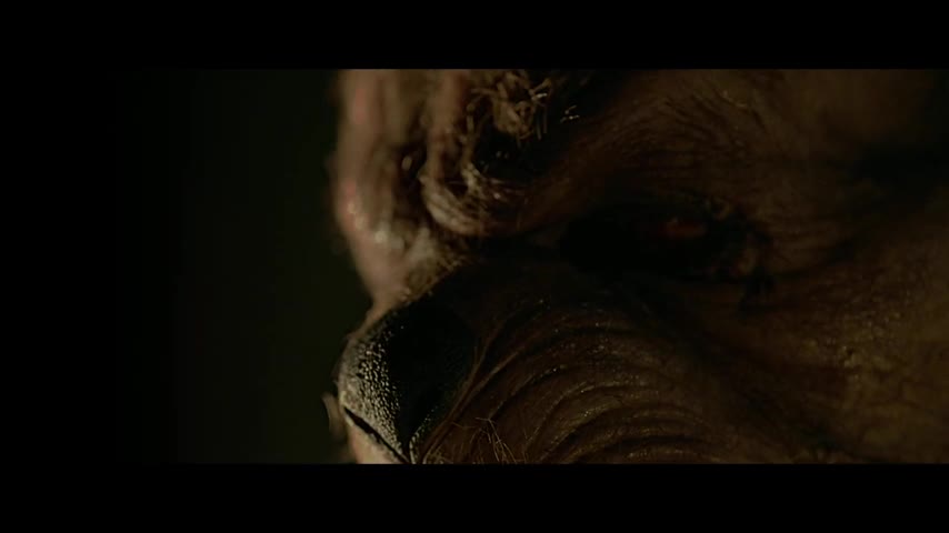 تیزر winnie the pooh blood and honey 2 2024