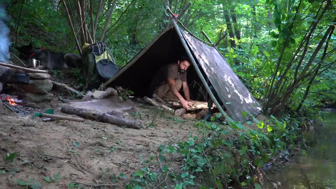 تجربه ماهیگیری و پختن ماهی روی هیزم در کمپینگ جنگل های شمال