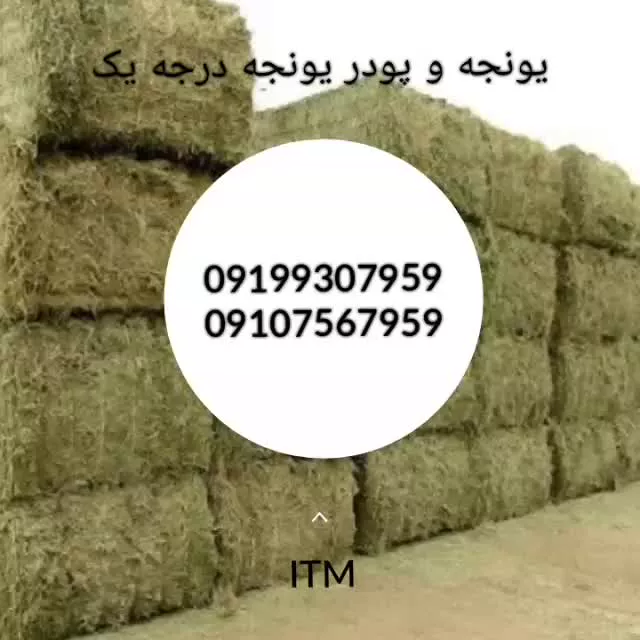 پودریونجه فروش یونجه