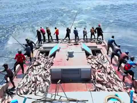 فیلم مستند ماهیگیری تن ماهی با قلاب از کشتی و جالب