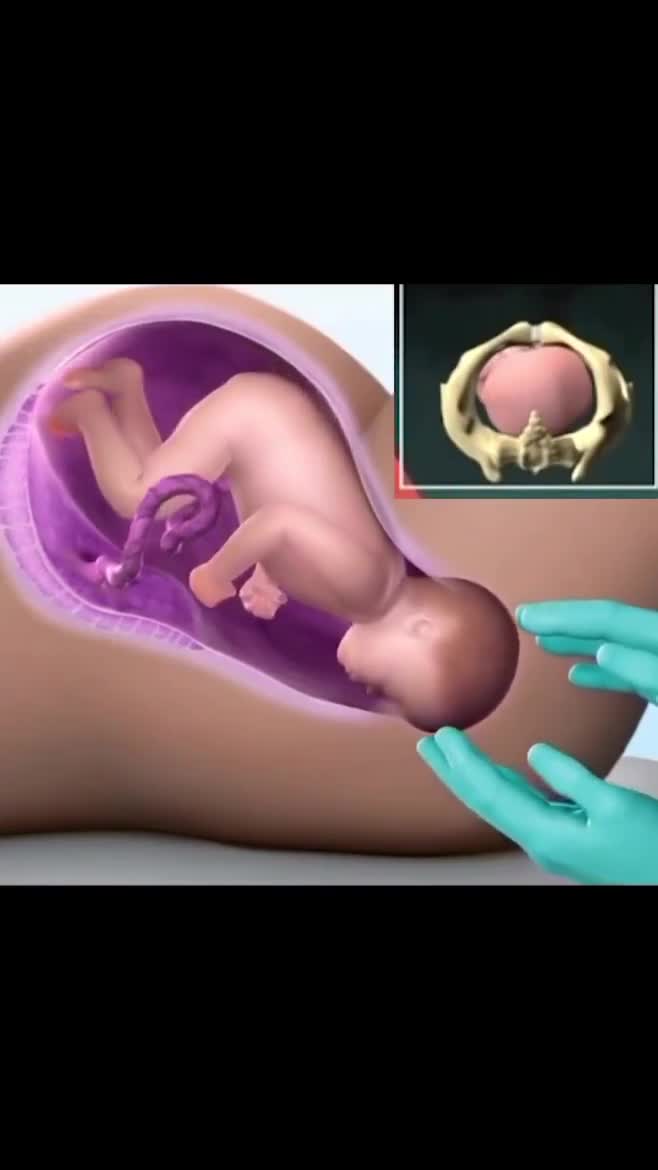 مراحل زایمان طبیعی و هر آنچه باید درباره آن بدانید